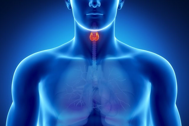 Hábitos que afectan a la tiroides